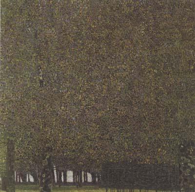 Gustav Klimt The Park (mk20)